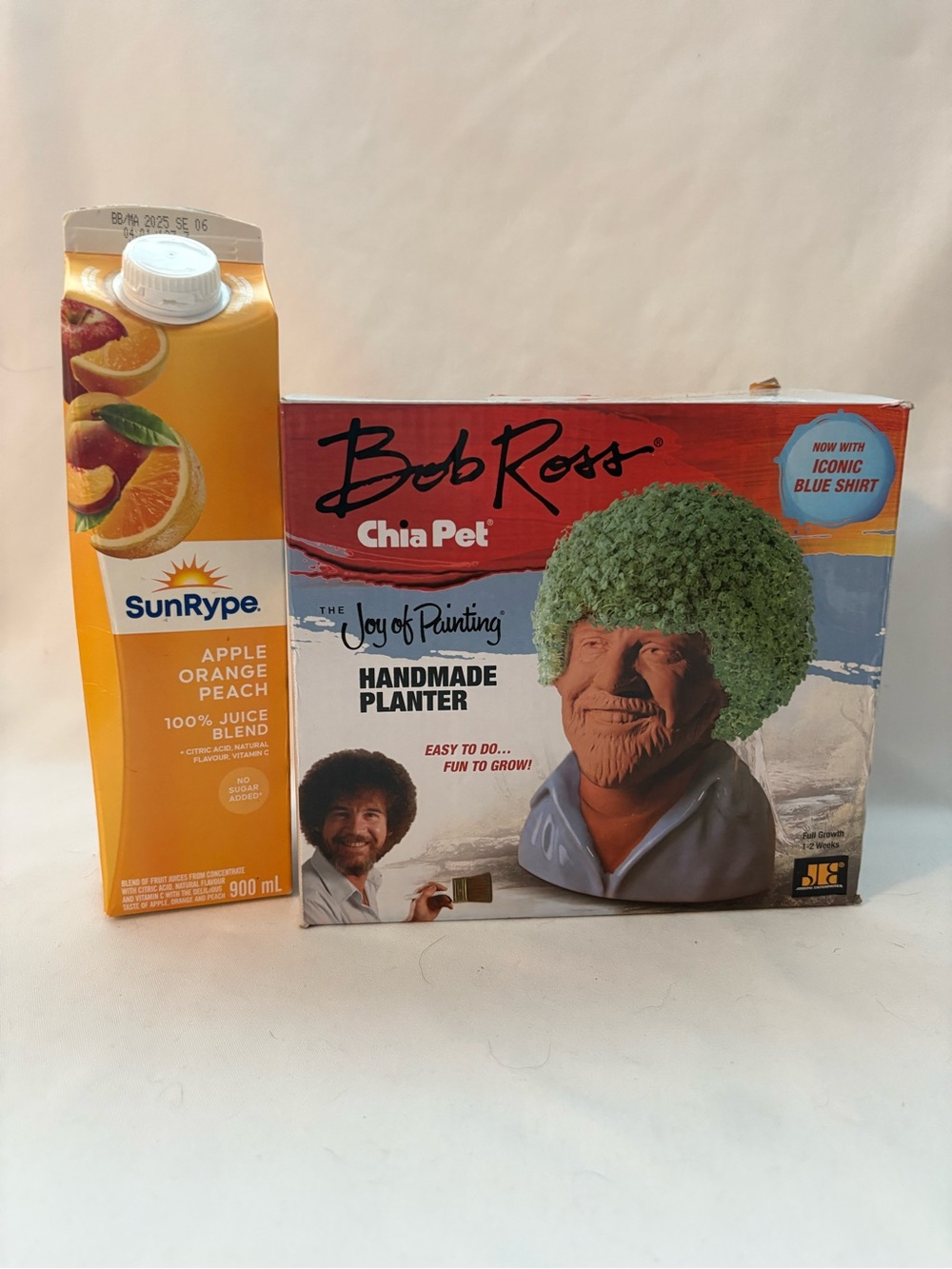 Bob Ross Chia pet